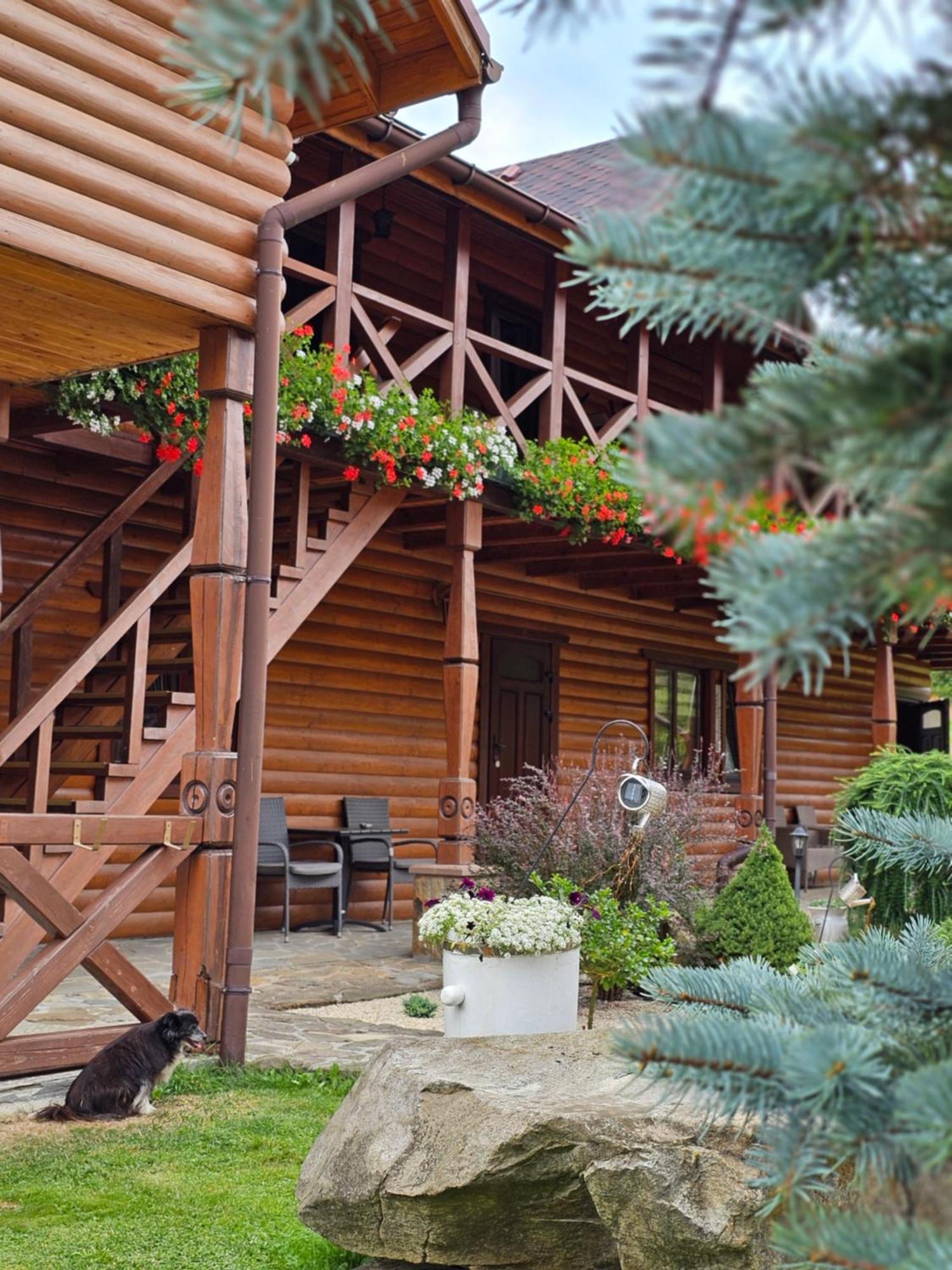 Guesthouse Kolo Druziv Tatariw Exterior foto
